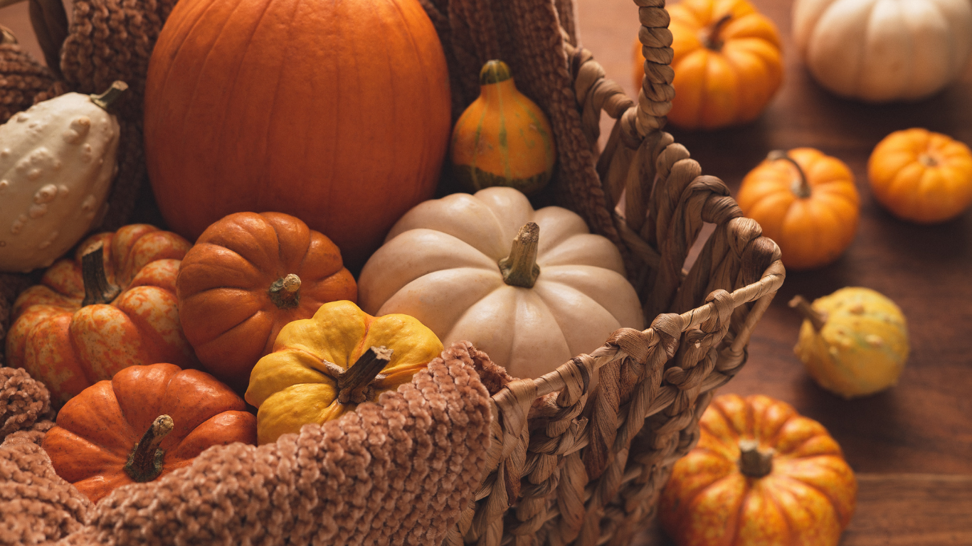 The Autumn Equinox: A Global Tradition of Health, Harvest, and Renewal